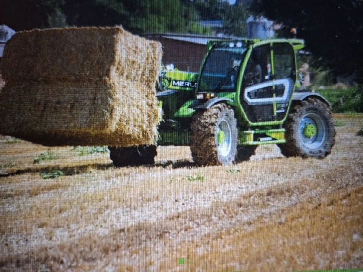 MERLO AGRICULTURAL AND CONSTRUCTION - Image 4