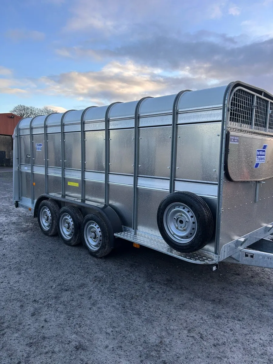 Ifor Williams 16ft - Image 1