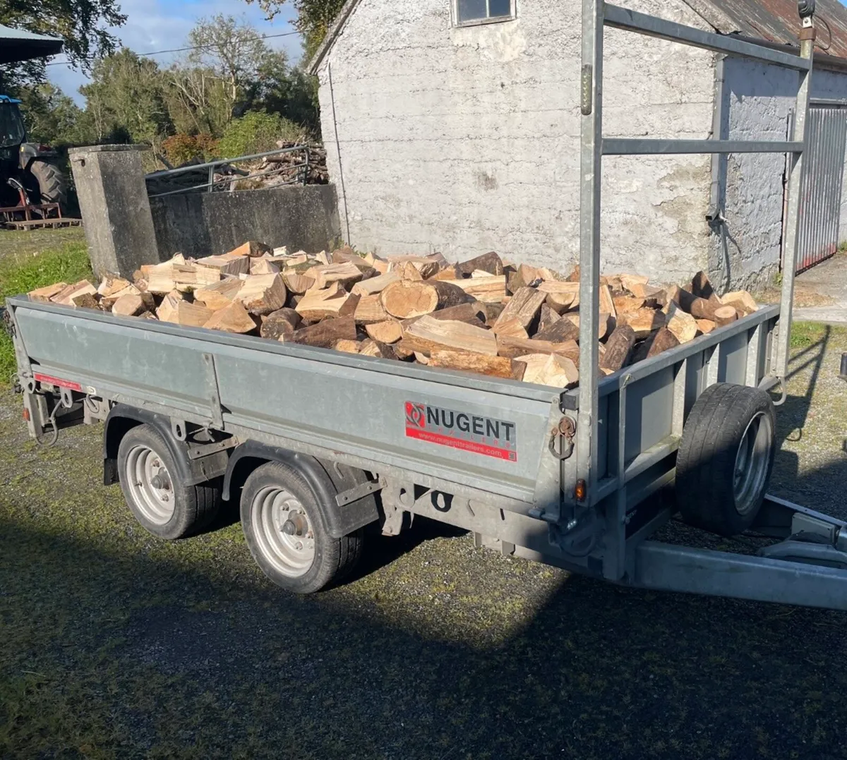 Ash timber firewood - Image 1