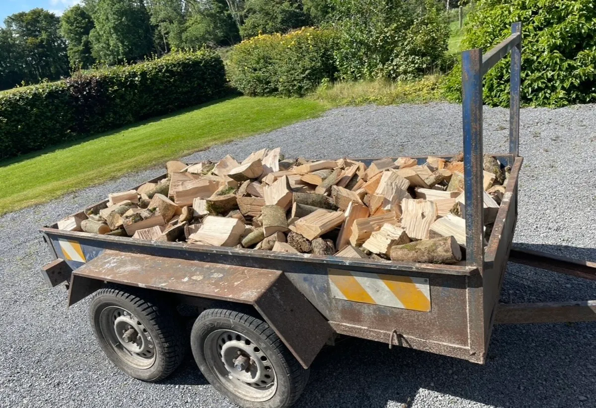 Ash timber firewood - Image 4