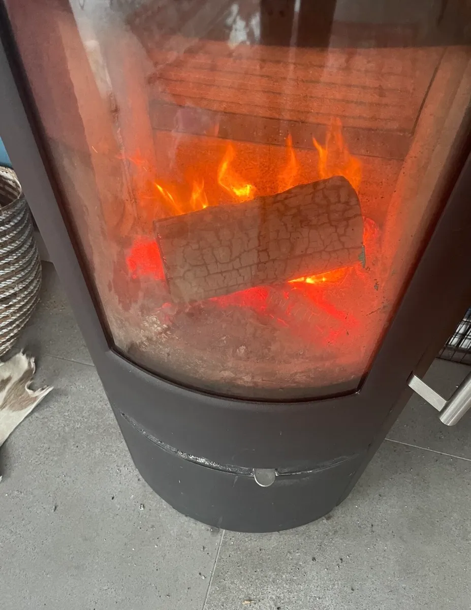 Ash timber firewood - Image 1