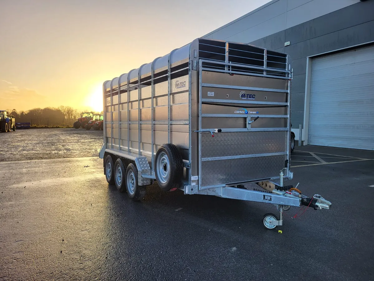 New MTec 14ft x 6ft Livestock Trailer - Image 3