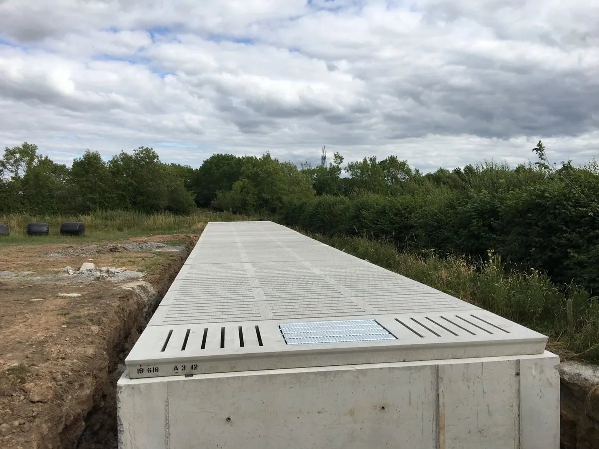 Cattle slats - Image 4