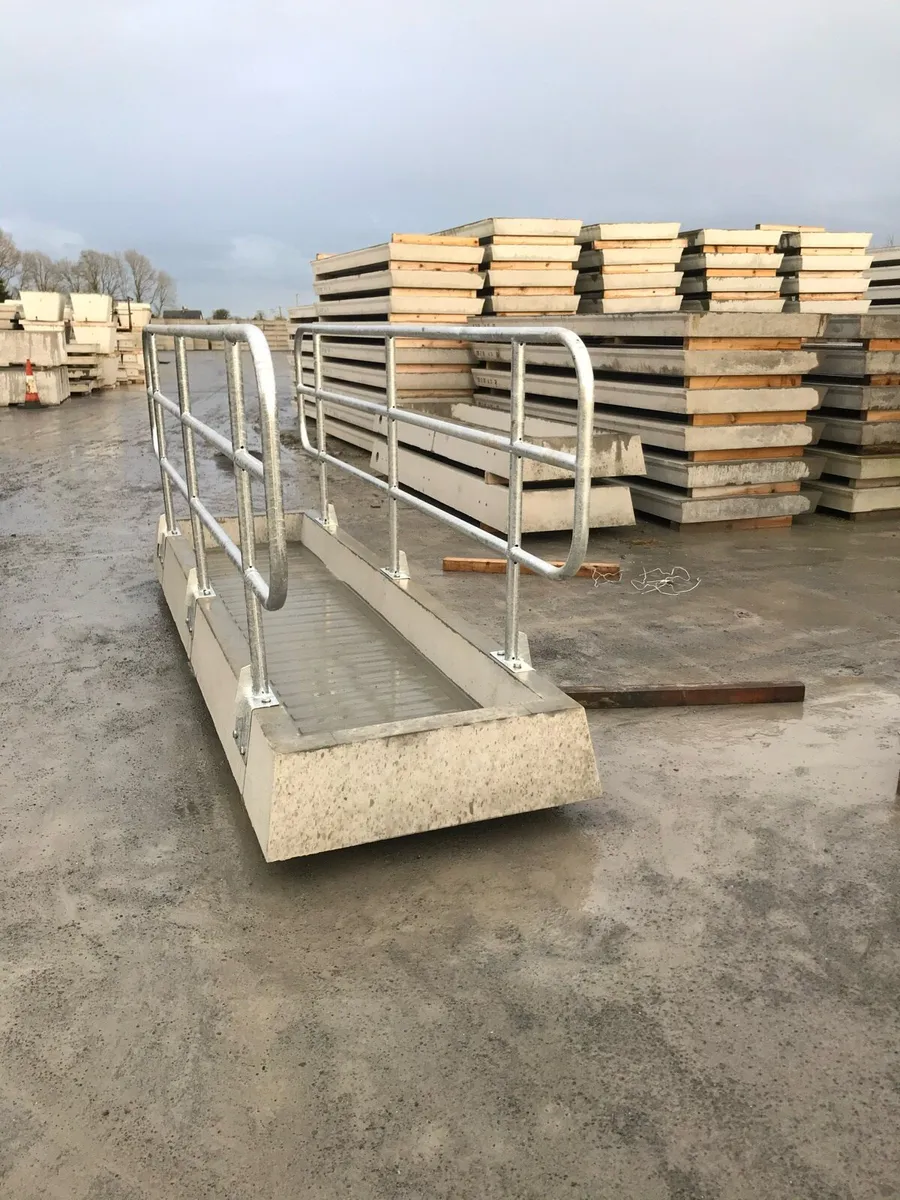 Cow precast concrete Footbath - Image 1