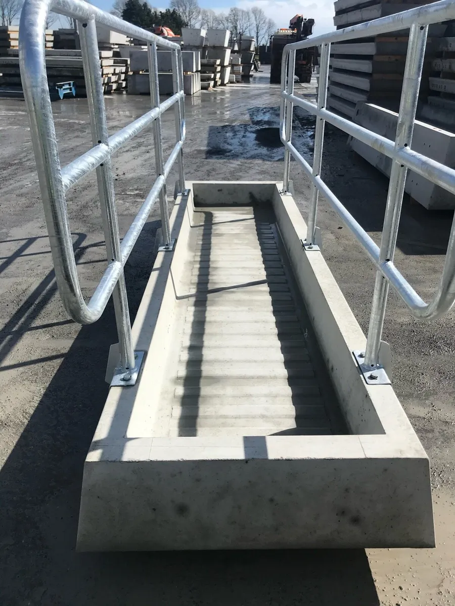 Cow precast concrete Footbath - Image 3