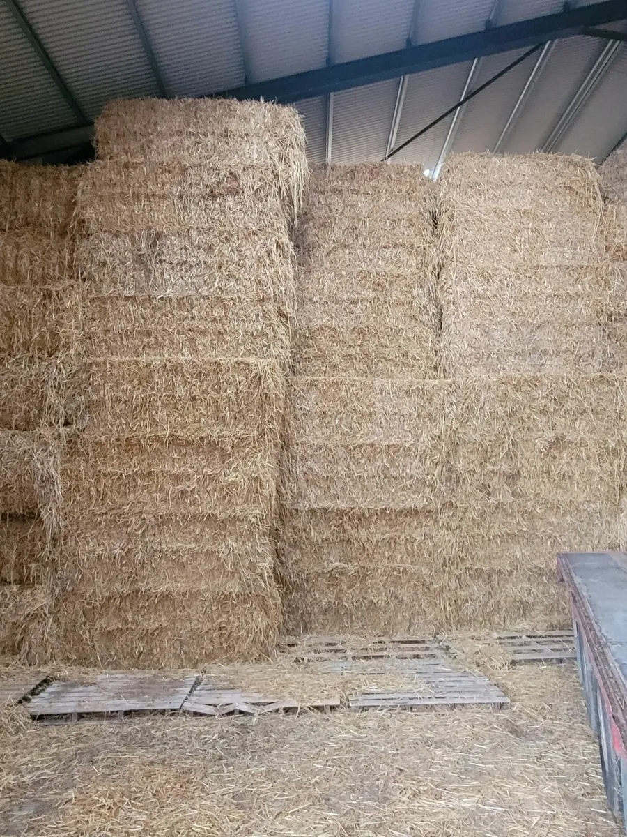 Barley straw 8×4×3 - Image 1