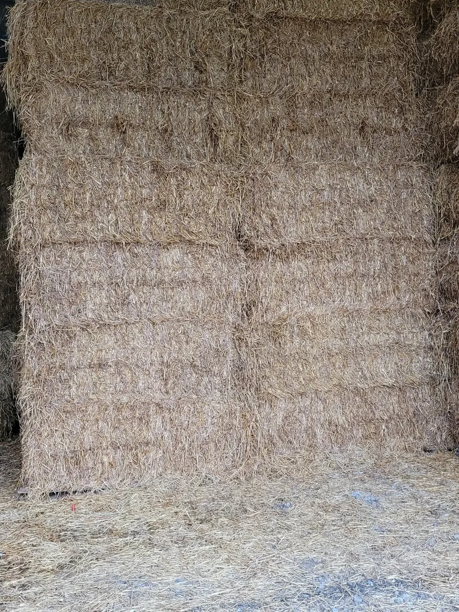 Barley straw 8×4×3 - Image 2