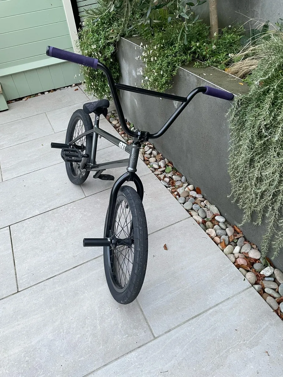 Custom Fresh Built BSD BMX - Image 2