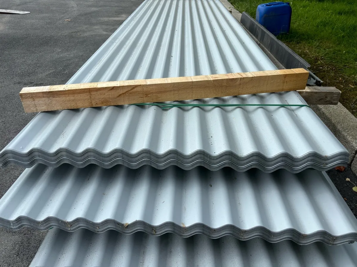 Corrugated silver sheeting €2.50ft delivered🚛 - Image 2