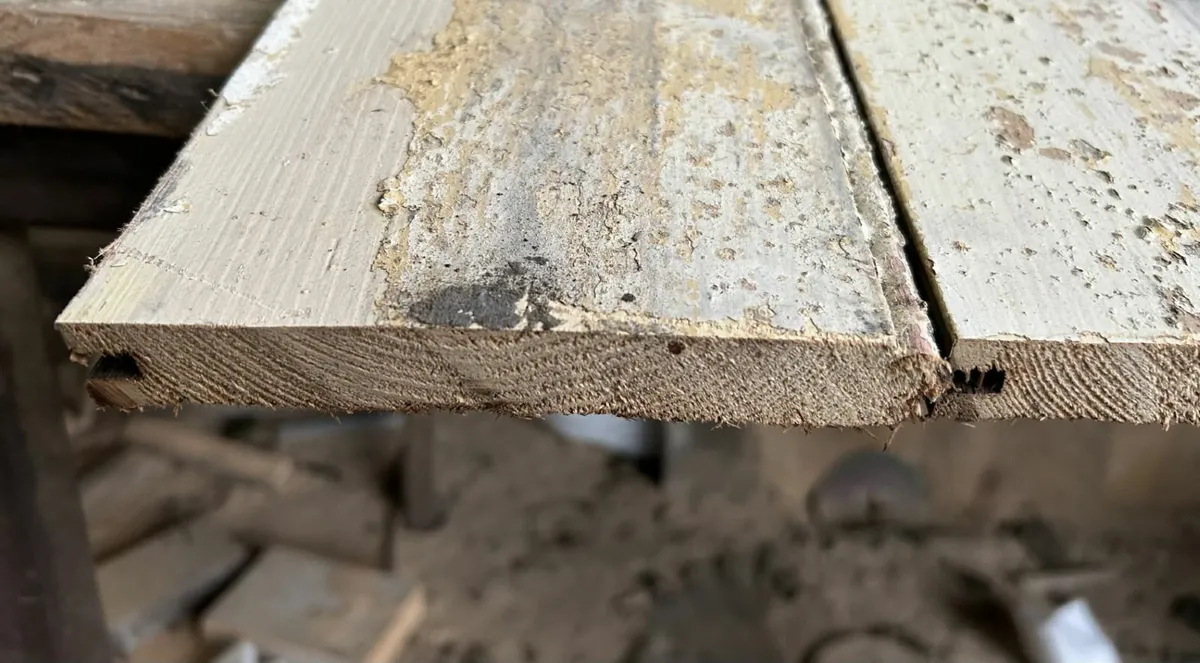 Reclaimed Pine Ceiling/Wall Cladding Anglesea - Image 3