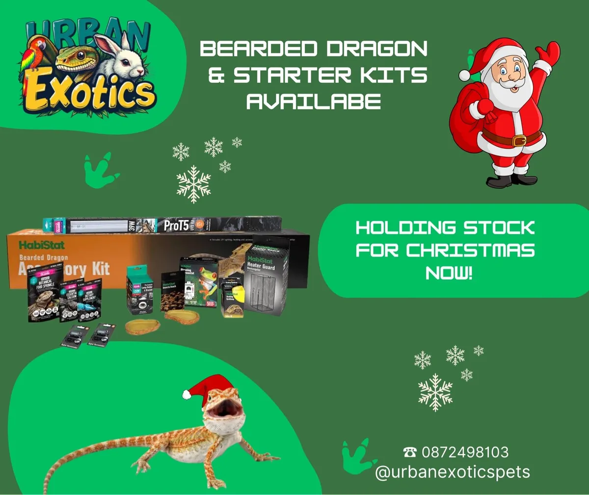 Bearded dragon kits for sale best sale