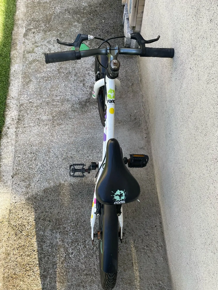 Frog Bike 48 - Image 2