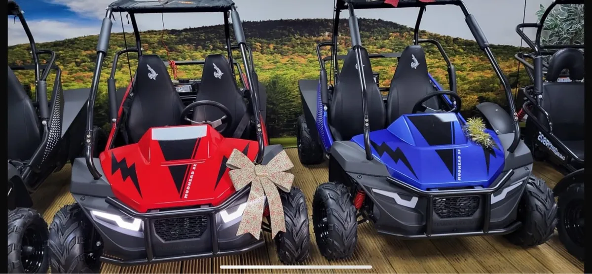 Buggies Buggies Buggies - Image 1