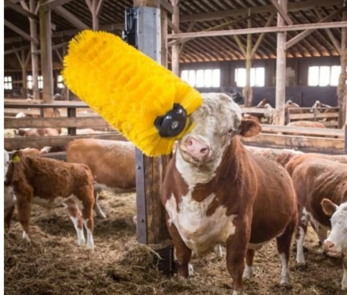 Easy Swing Maxi Cattle Brush - Image 1