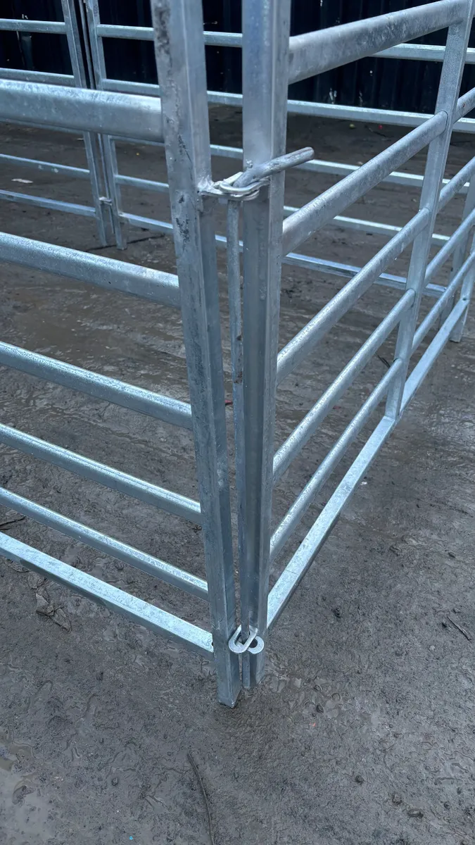 4’ Sheep Hurdles - Image 4