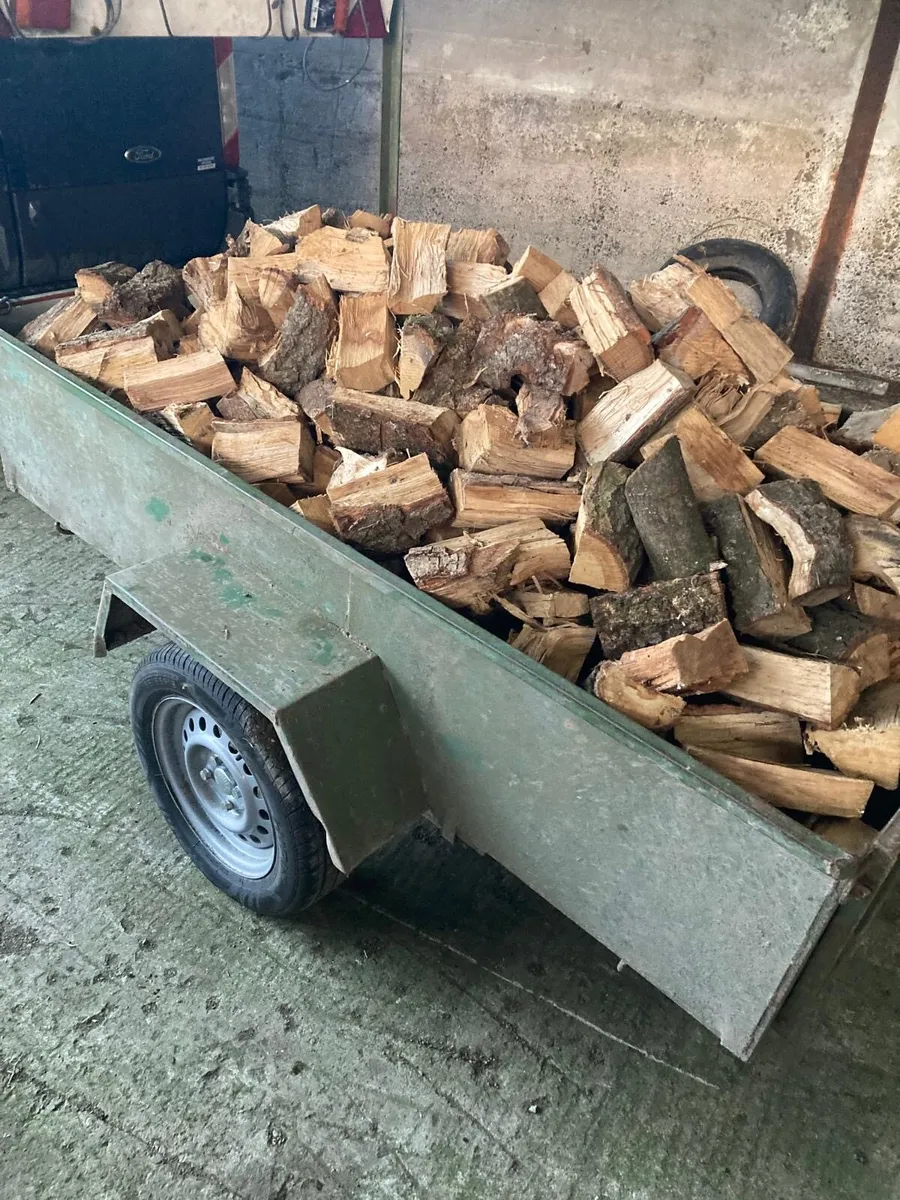 Firewood for Sale Trailer loads or bags - Image 3