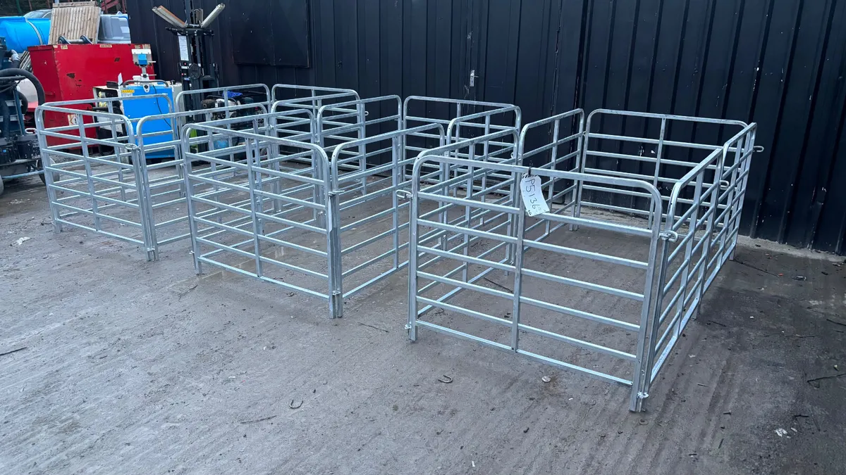 4’ Sheep Hurdles - Image 2