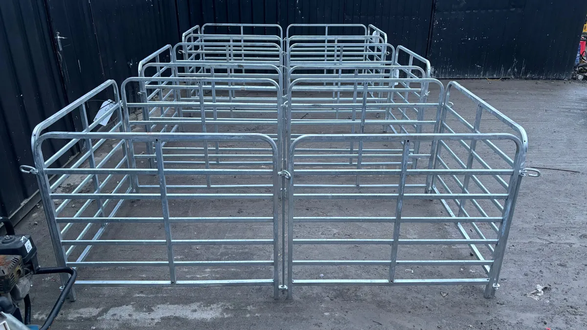 4’ Sheep Hurdles - Image 3