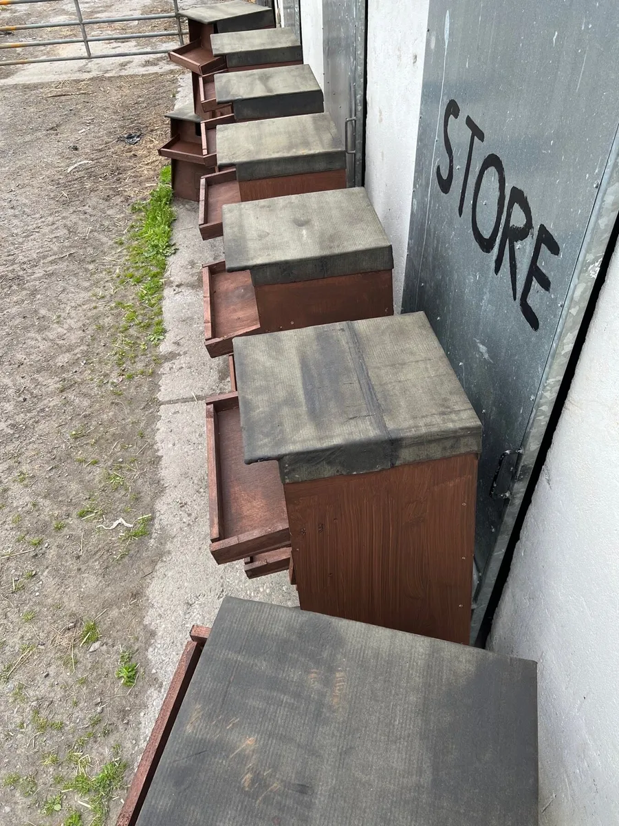 OWL BOXES-ACRES-Delivery nationwide - Image 2