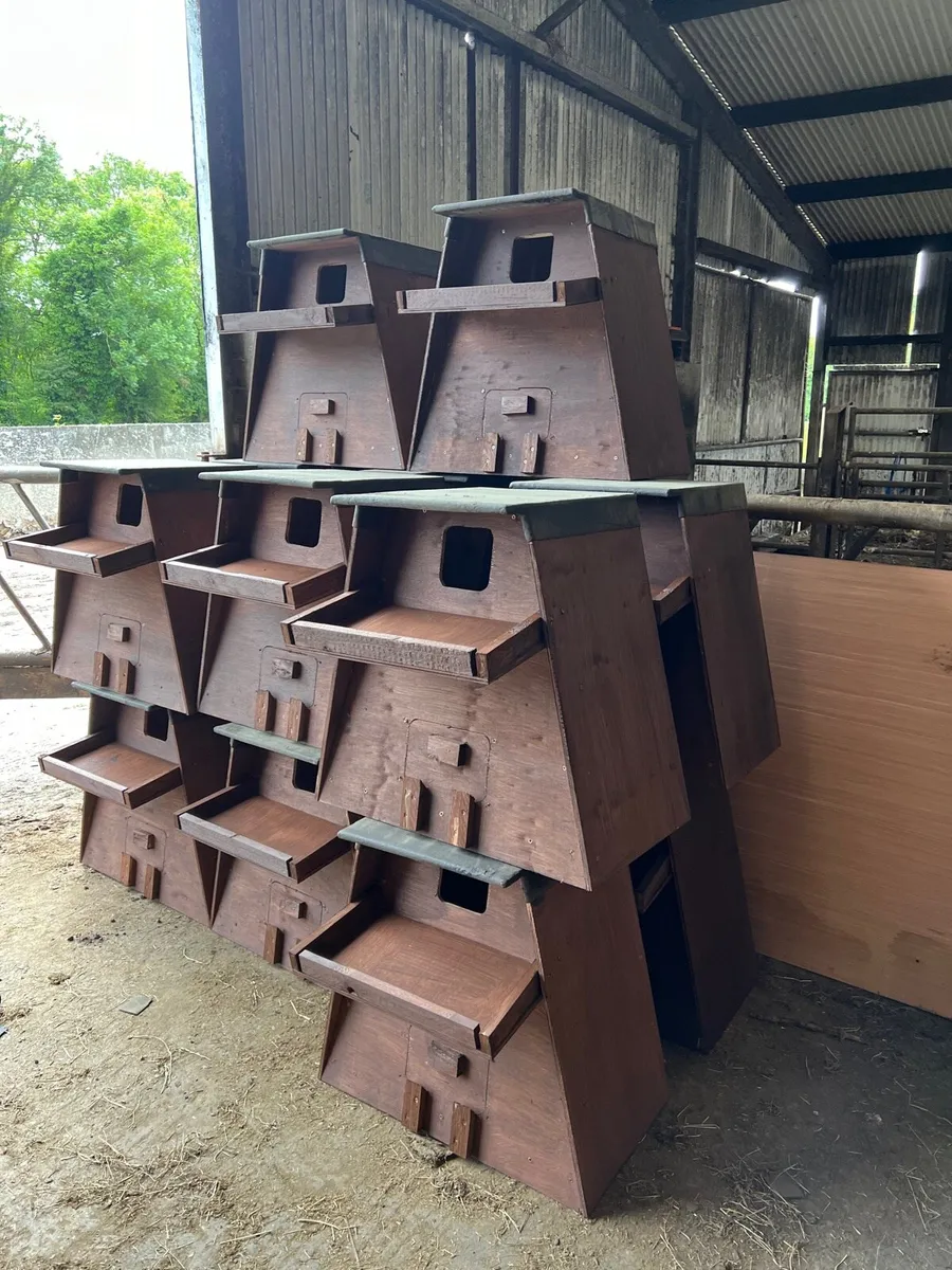 OWL BOXES-ACRES-Delivery nationwide - Image 3