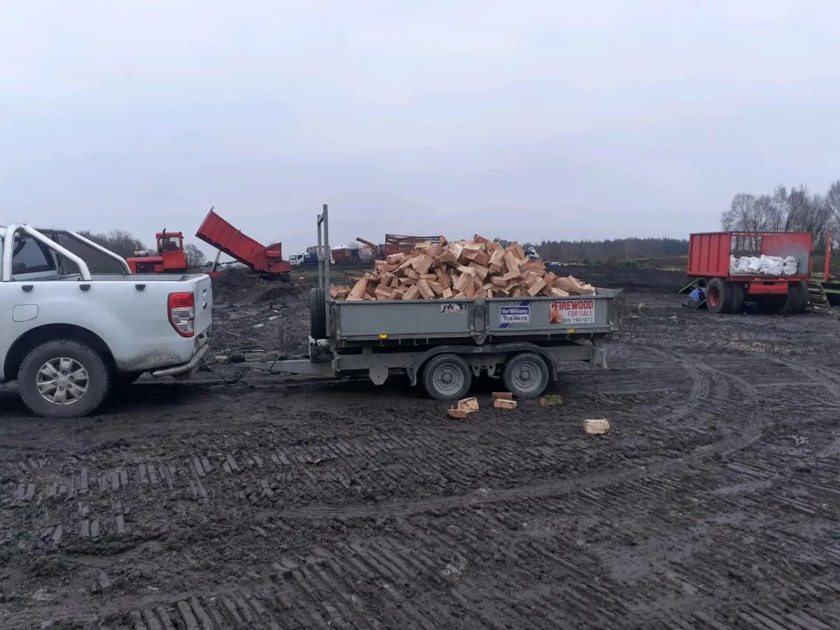 Firewood timber hardwood coal trailer loads - Image 2