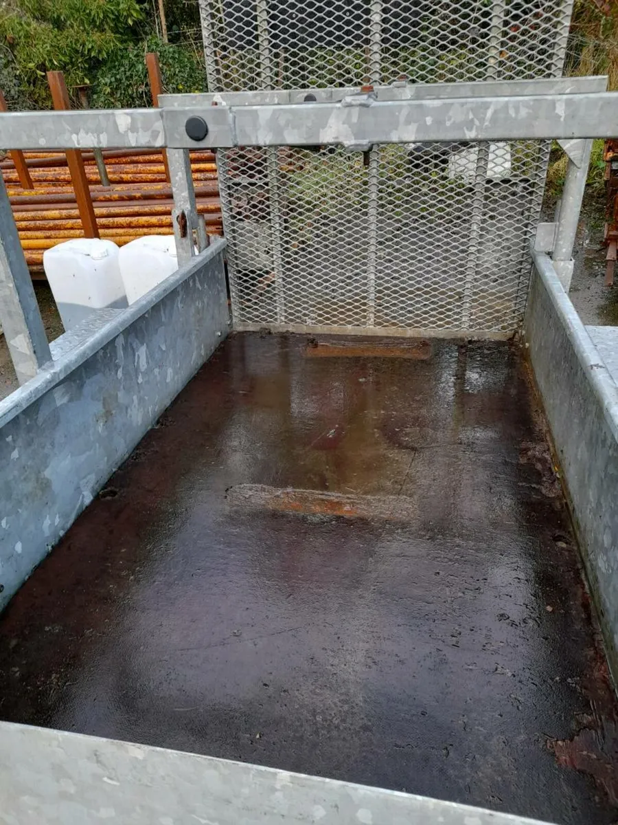 Galvanised trailer with ramp - Image 3