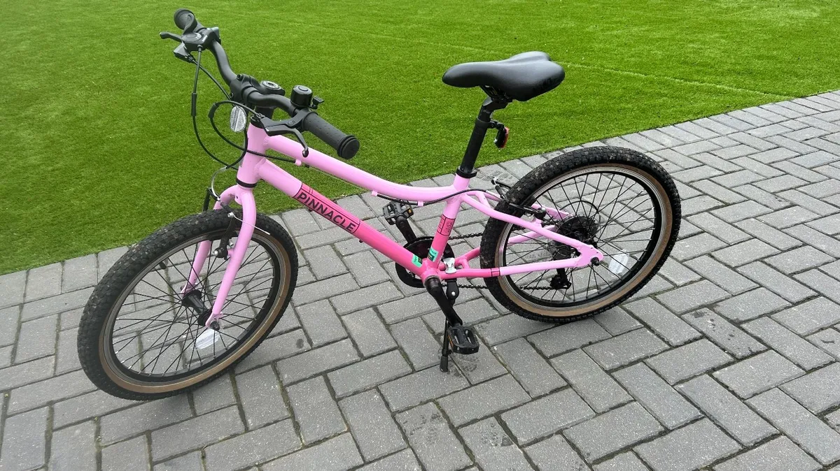 Girls 20" Pinnacle Bike - Image 1