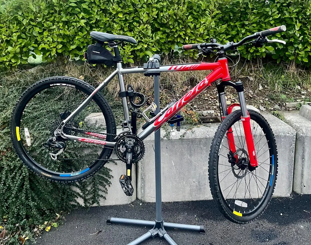 Carrera fury bike on sale