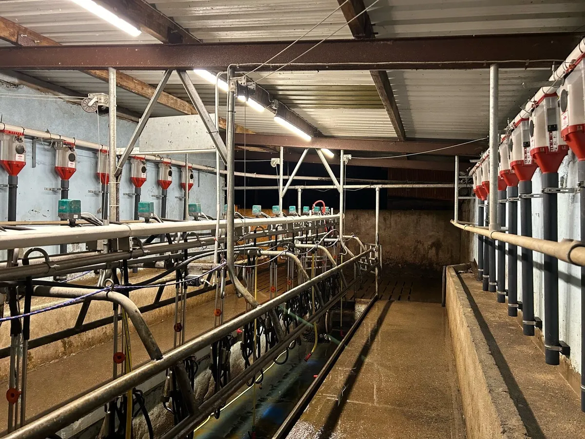 12 Unit Pearson milking parlour & 24 IDS feeders - Image 4