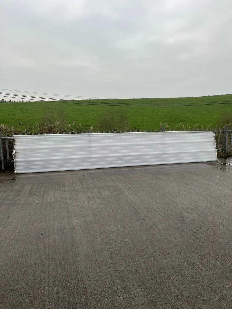 Clear box profile roof sheeting - Image 2