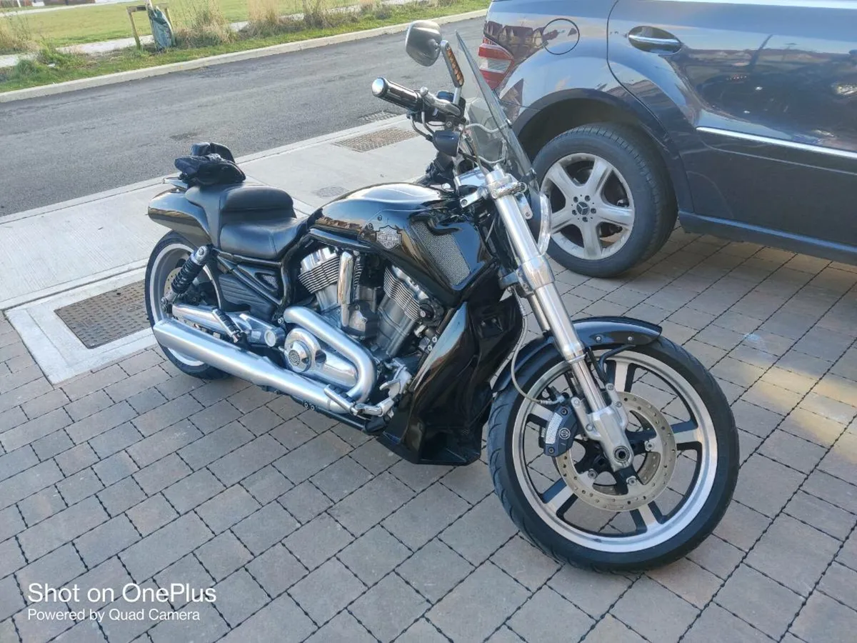 Harley Davidson V rod muscle - Image 1