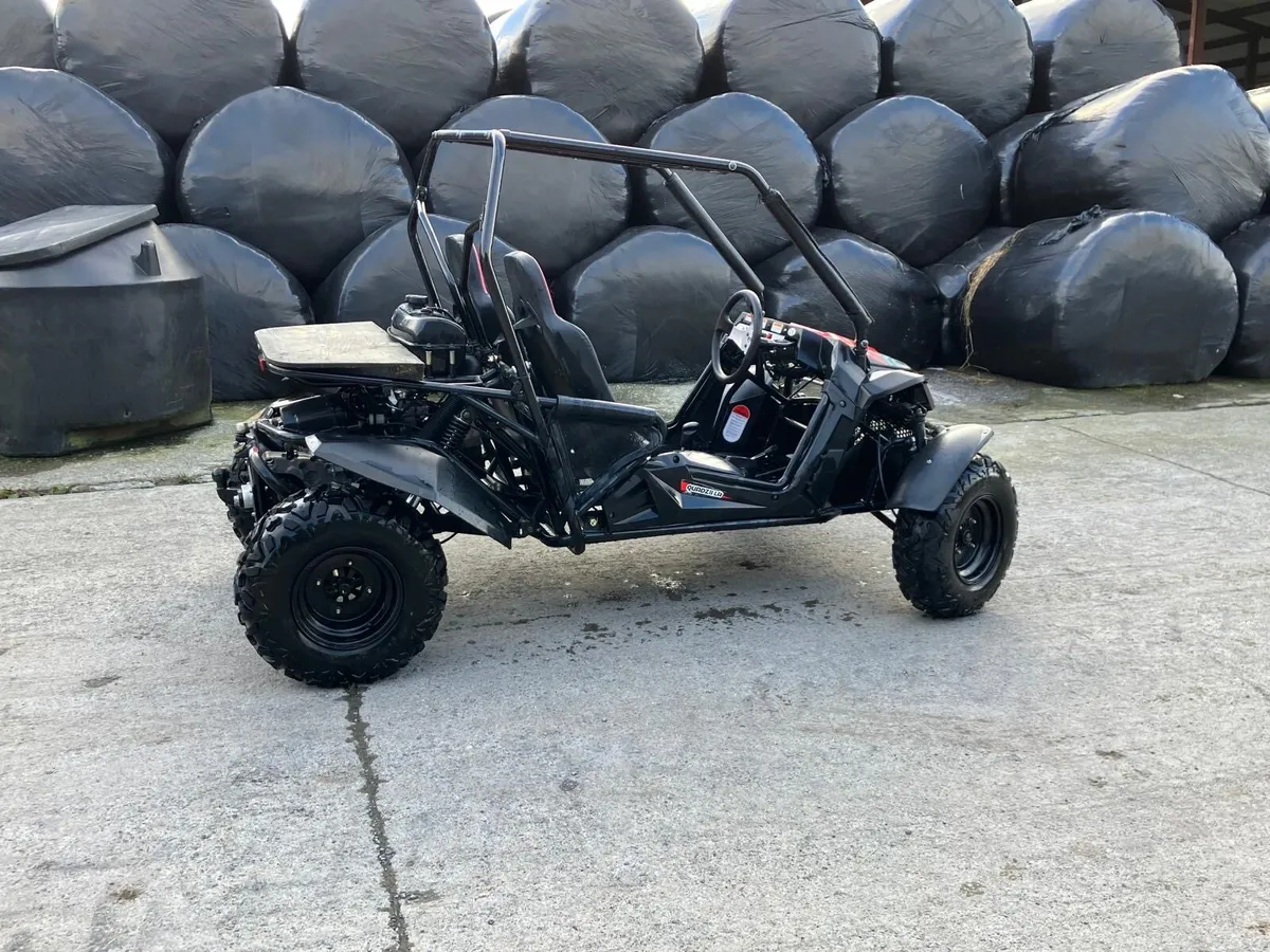 Quadzilla Buggy - Image 1