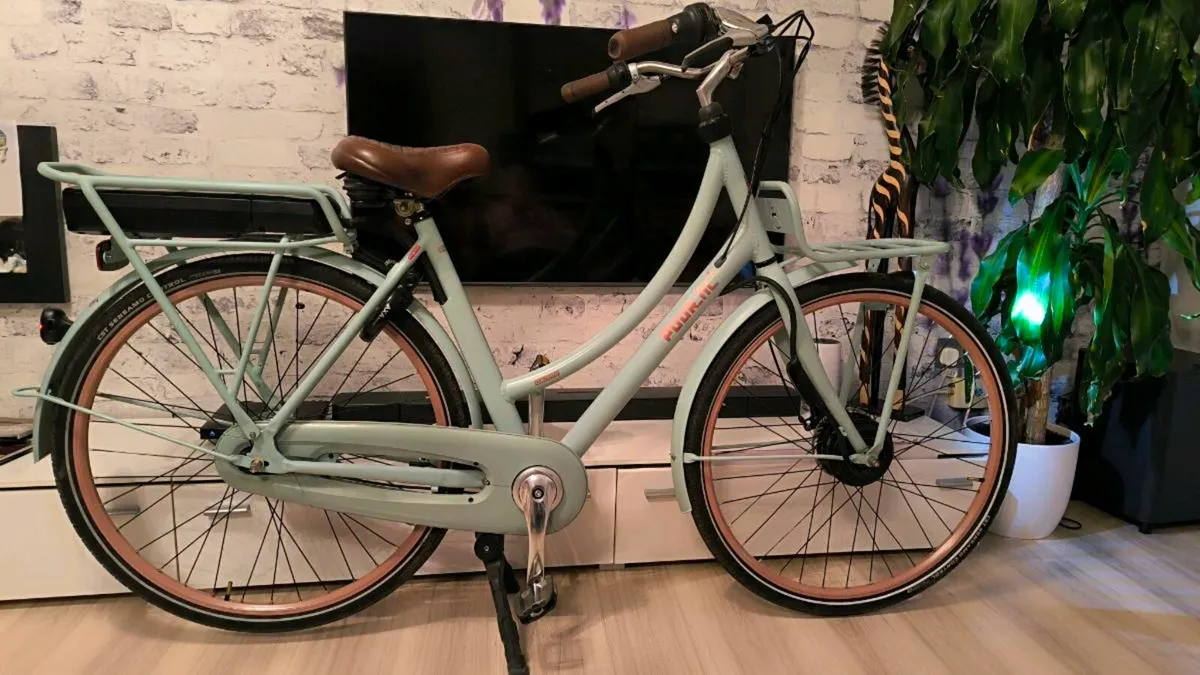 Dutch gazelle deals