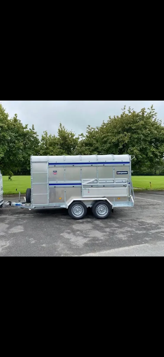 New indespension 12x6ft livestock trailer sheep de - Image 1