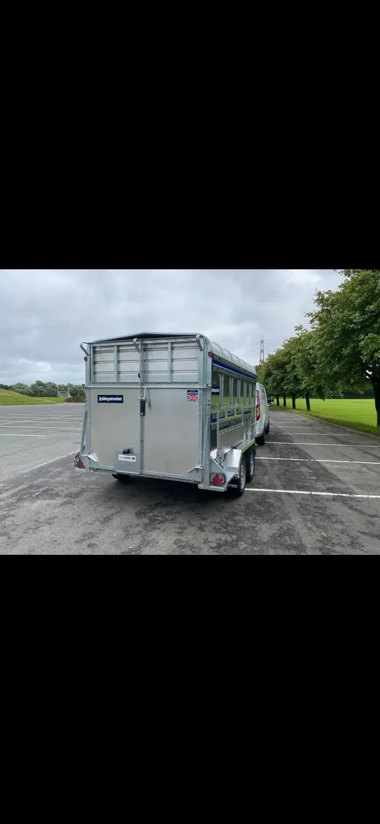 New indespension 12x6ft livestock trailer sheep de - Image 3