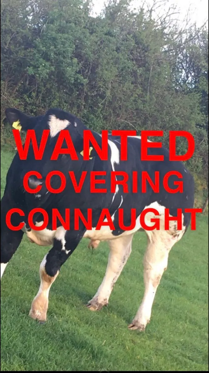 COVERING CONNAUGHT WANTED