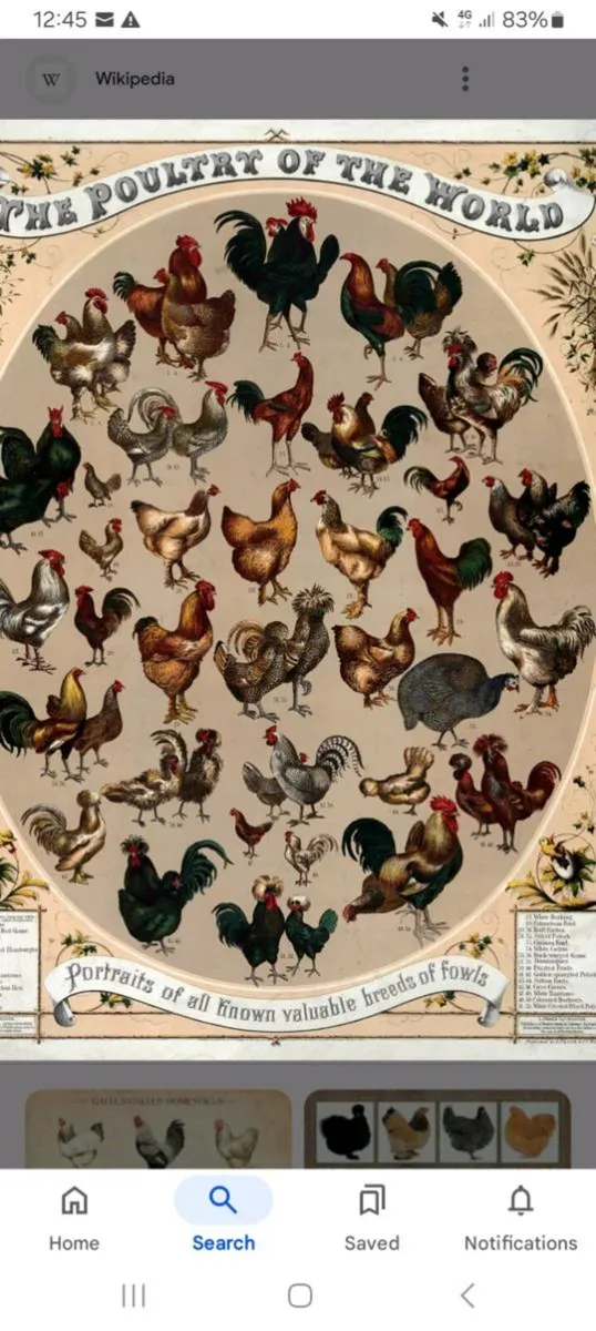 Poultry and pet courier service 29 th july