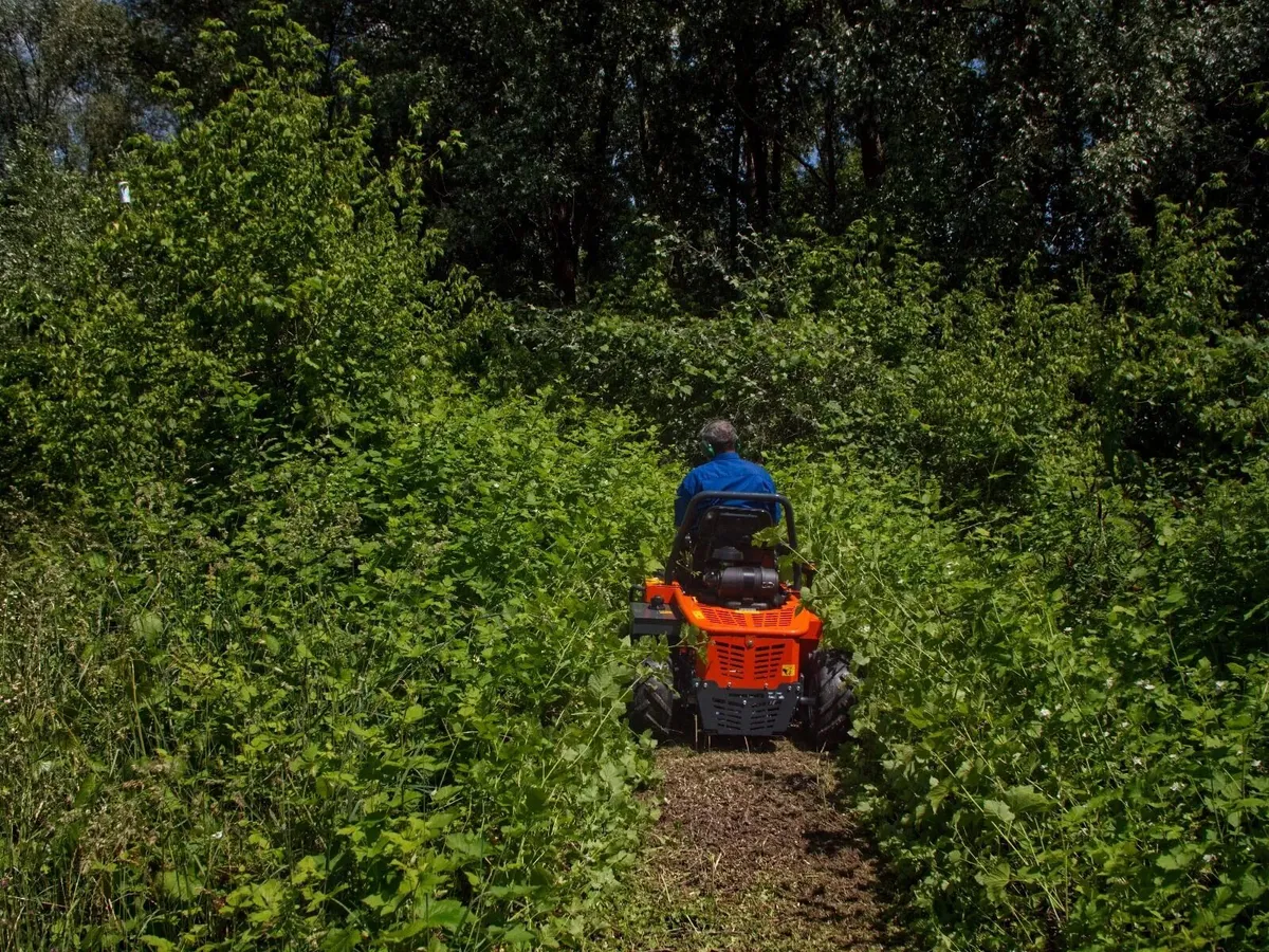 New Stella Racoon 95 Municipal Ride-on Flail mower - Image 3