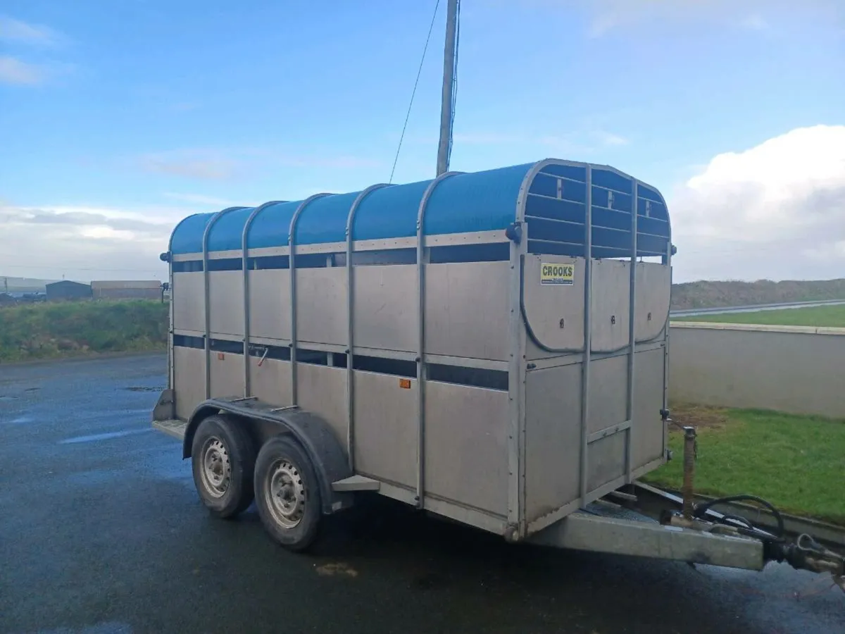 12 x 6 Crooks Cattle Trailer For Sale - Image 1