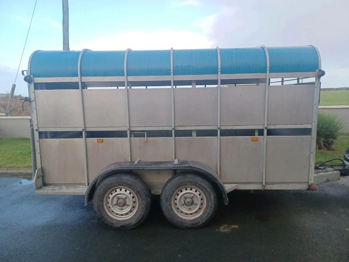 12 x 6 Crooks Cattle Trailer For Sale - Image 2