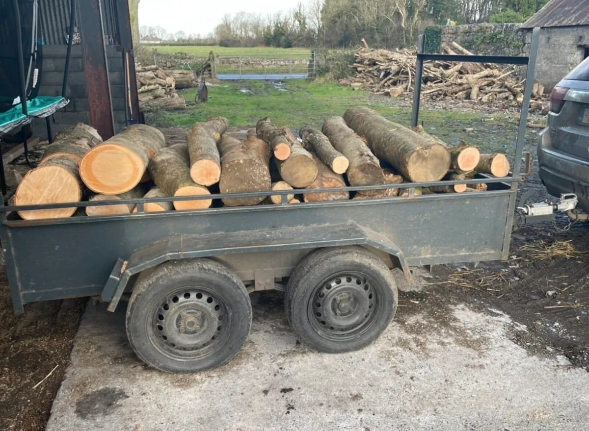 Ash timber firewood - Image 4