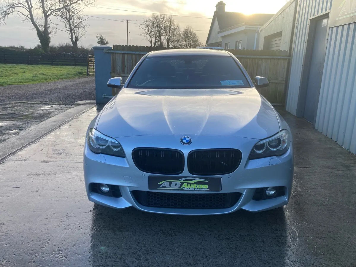 Bmw 520d Msport - Image 3