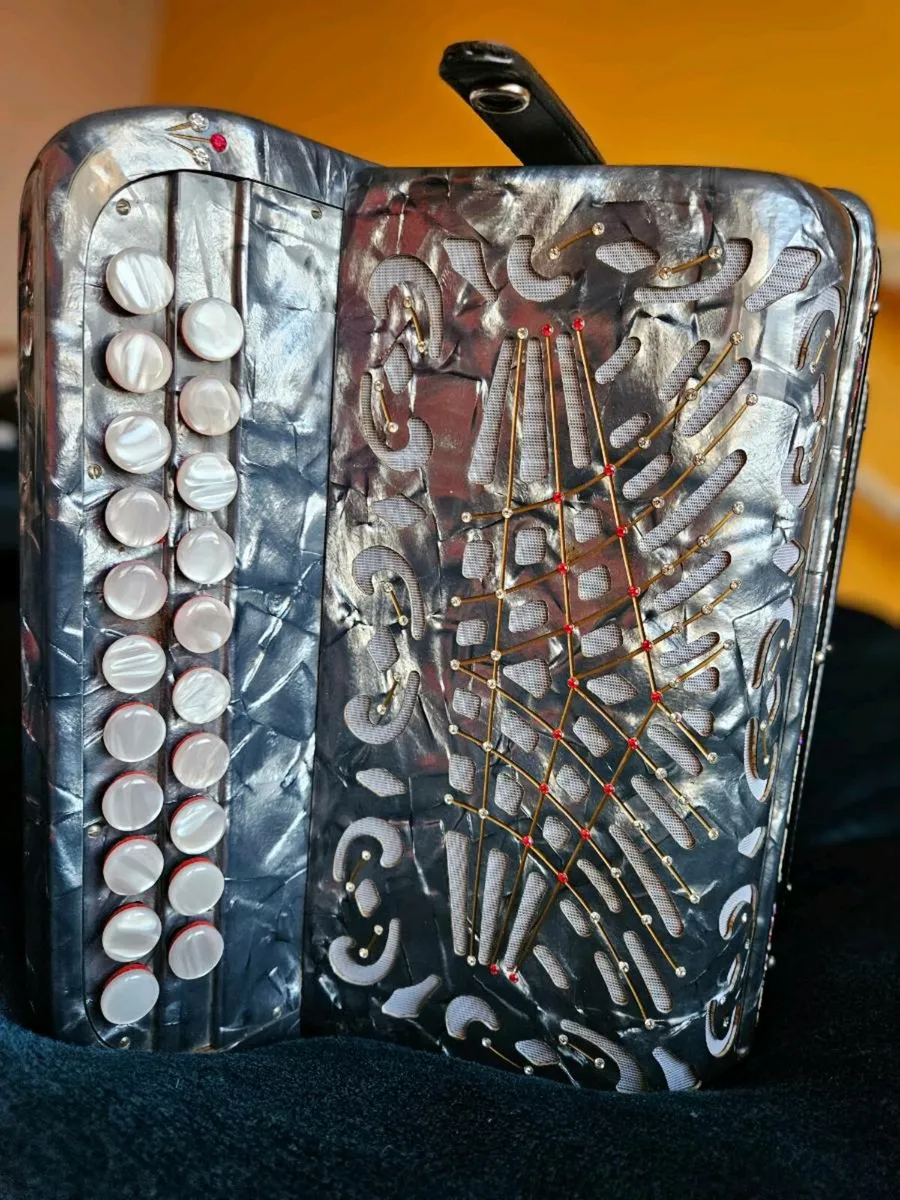 Serenellini Accordion - Image 4
