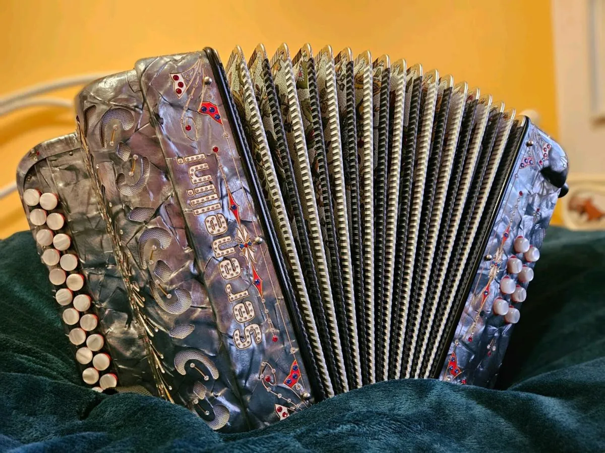 Serenellini Accordion - Image 2