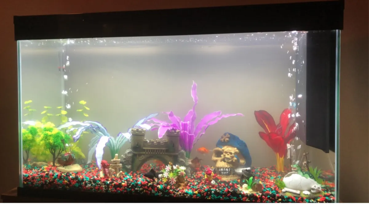 200L Fish tank  - With filter, stones, ornaments - Image 2