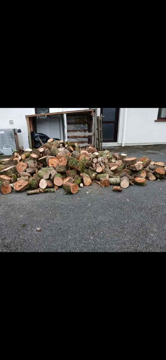 Firewood - Image 2