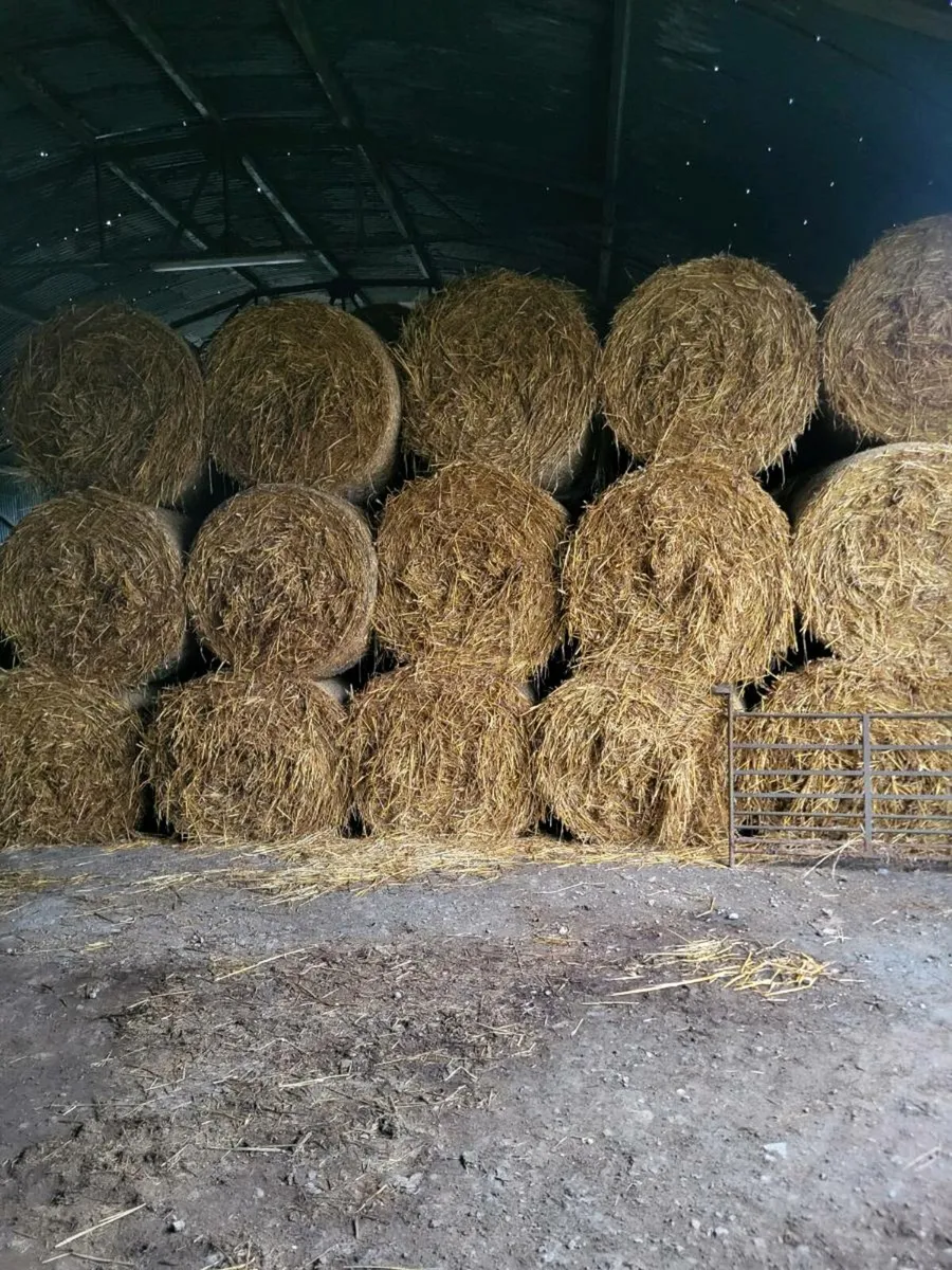 Oaten Straw bales for sale in Co. Tipperary for €35 on DoneDeal