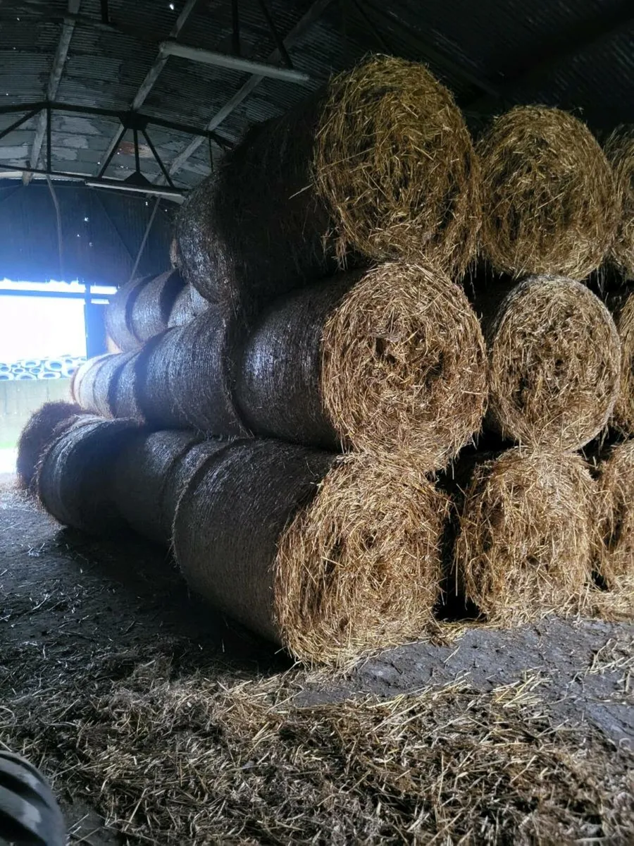 Oaten Straw bales for sale in Co. Tipperary for €35 on DoneDeal