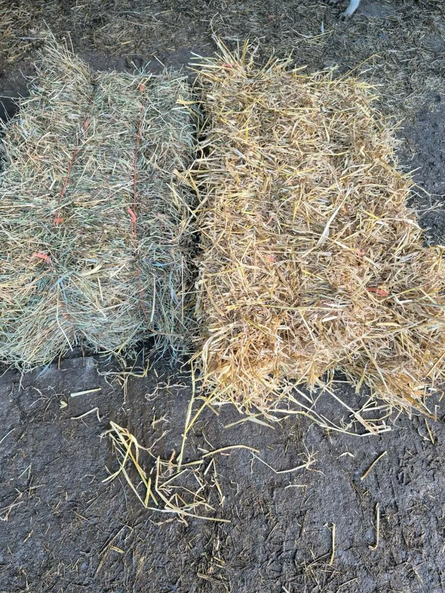 Small square bales of hay and straw - Image 3