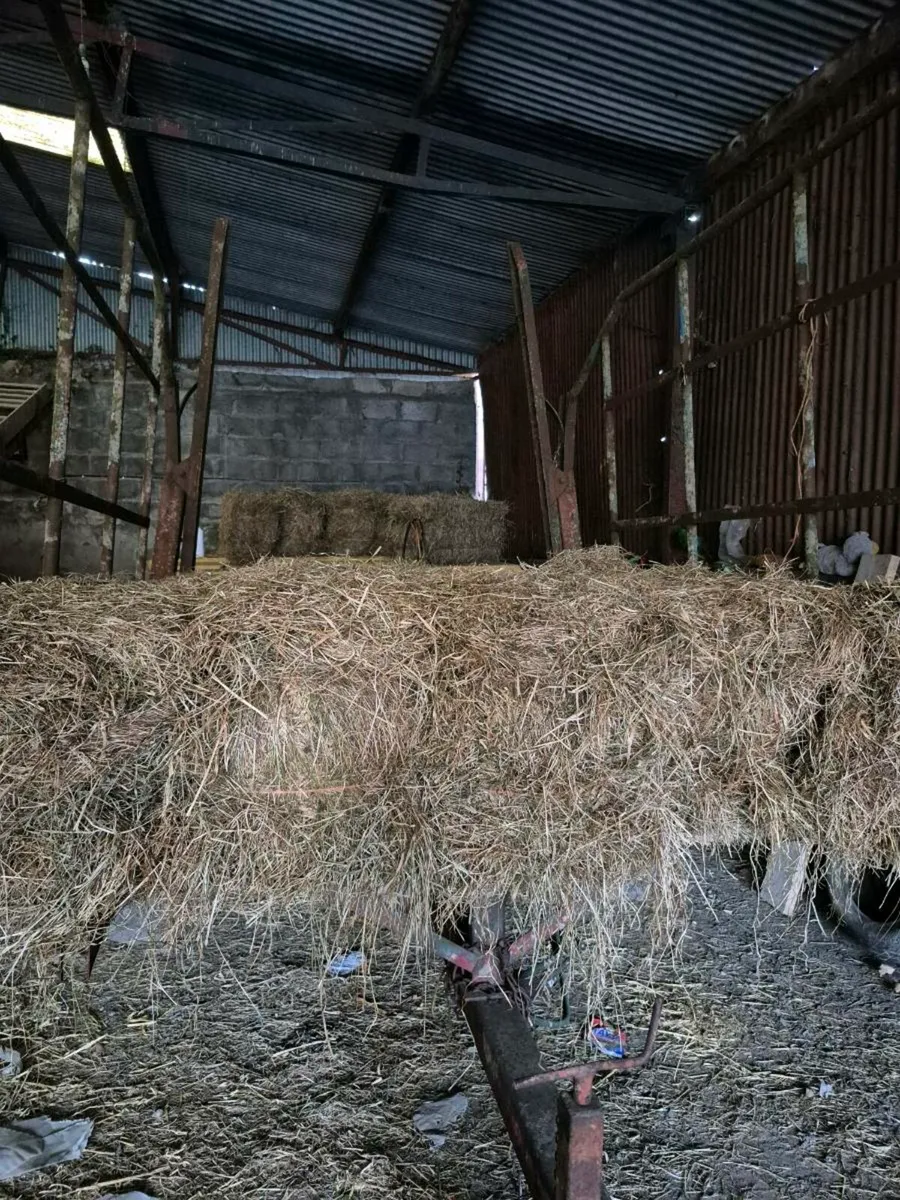 Small square bales of hay and straw - Image 4